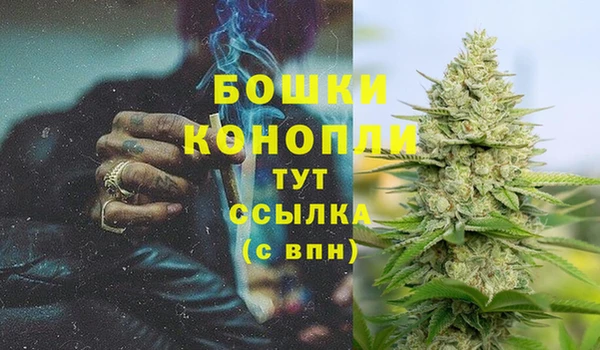 каннабис Алзамай