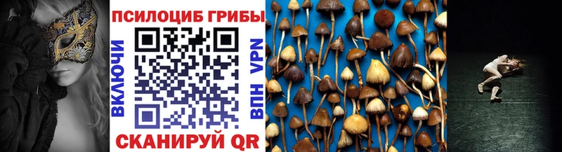 Галлюциногенные грибы мицелий  Спасск 